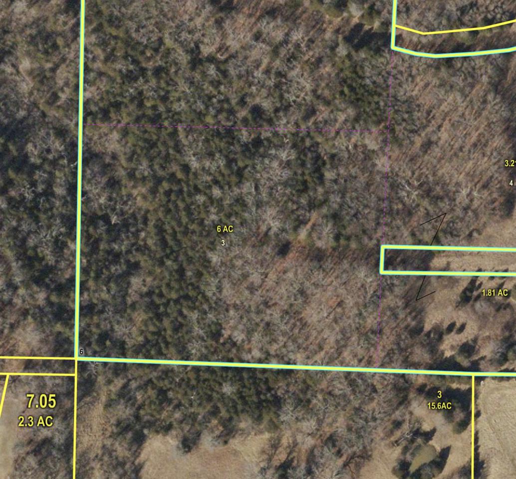 Tbd#3 2285 West Of Farm Road 1218 - Photo 1