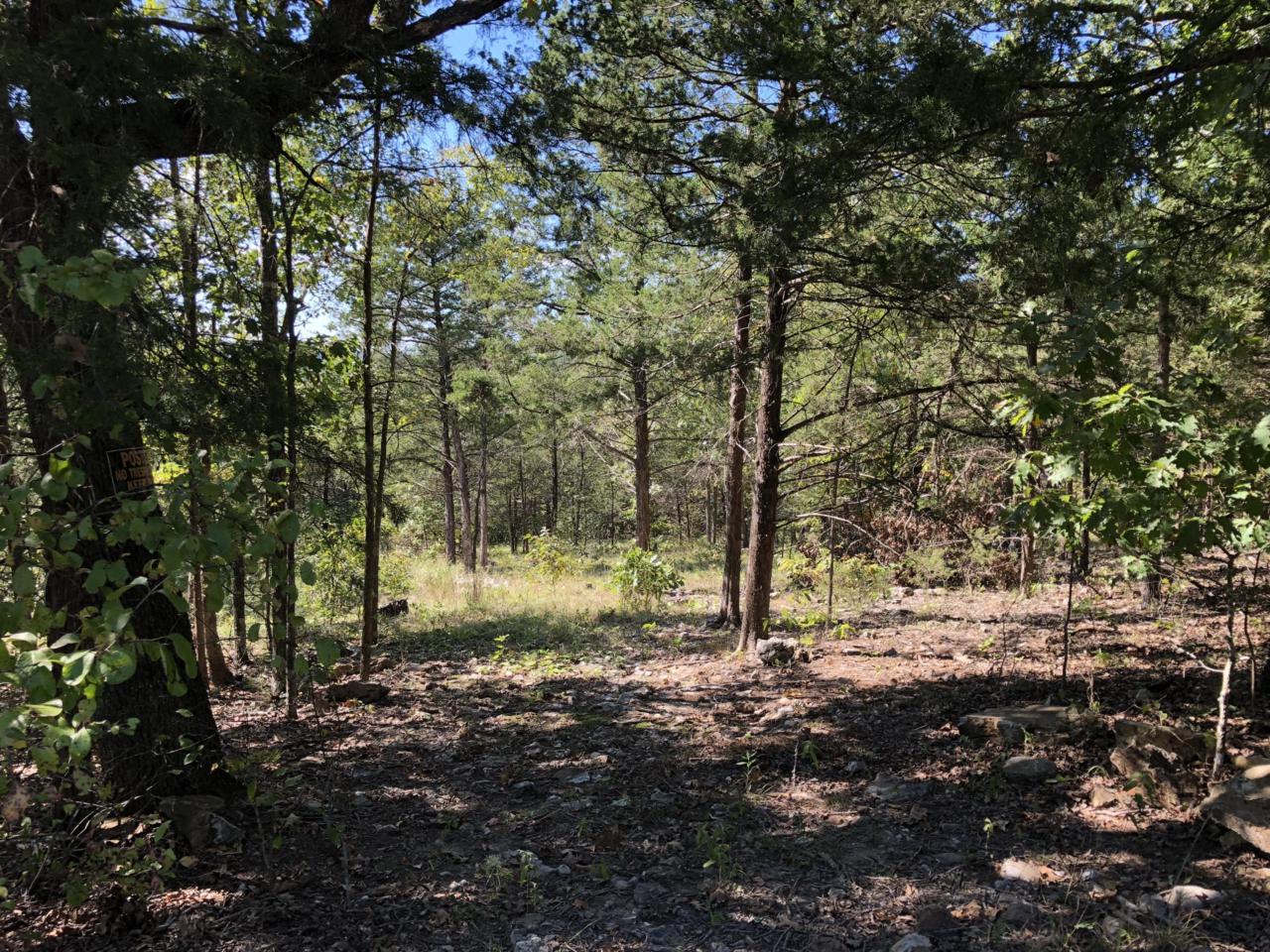 Tbd Sycamore Church Road - Photo 1