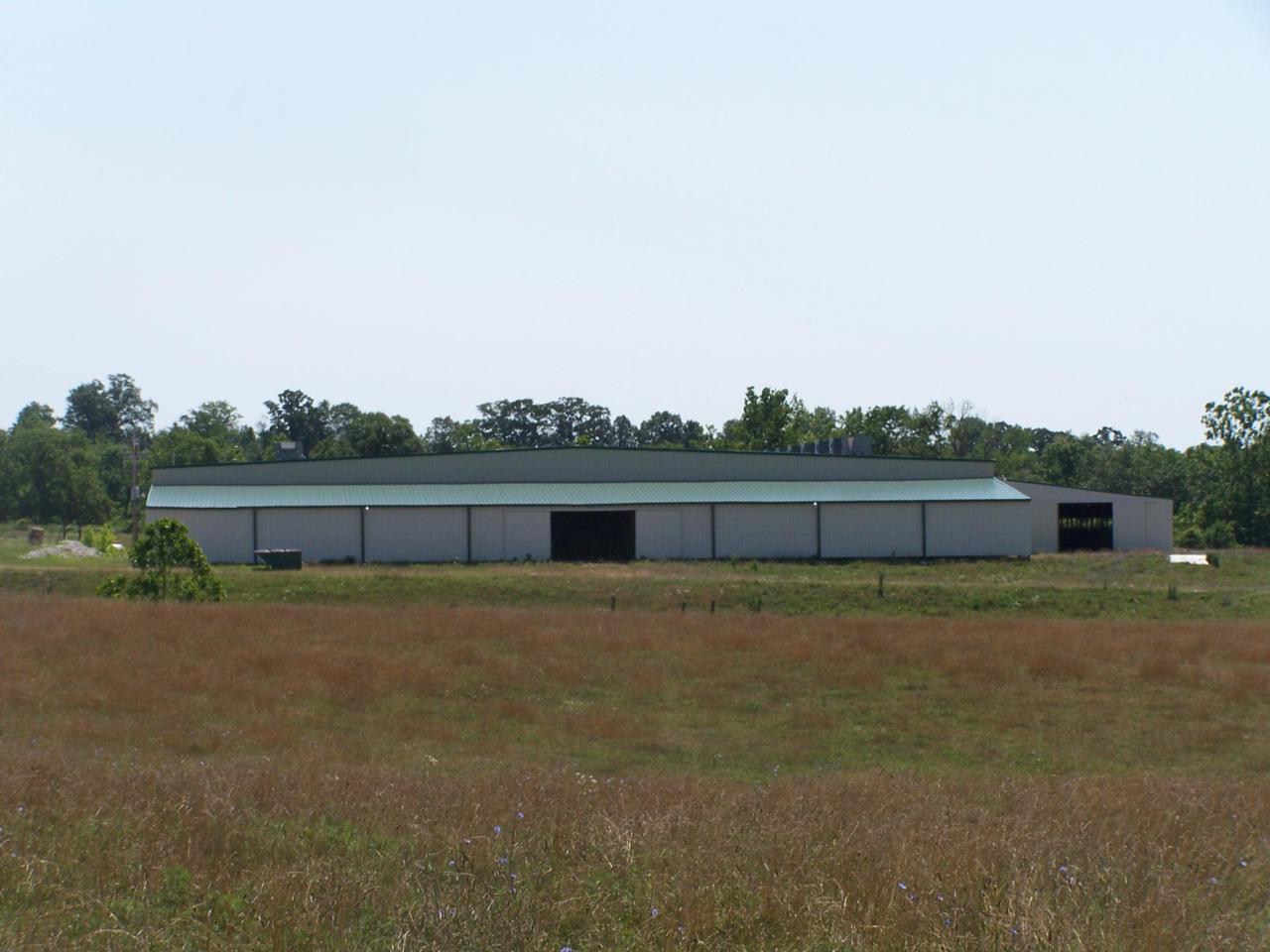 2873 Highway 137 - Photo 1