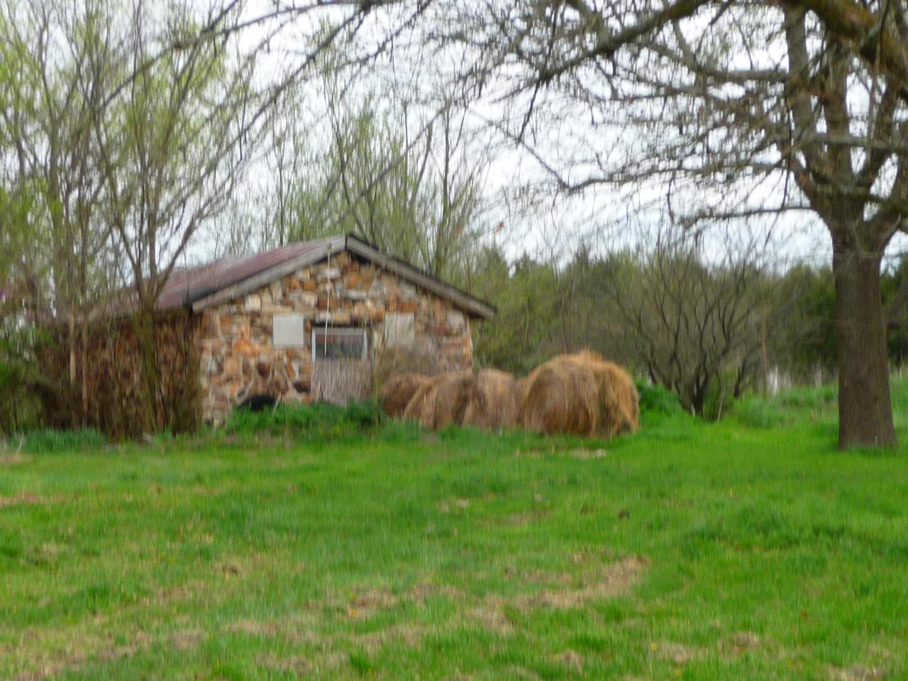 1668 Farm Road 71 - Photo 1