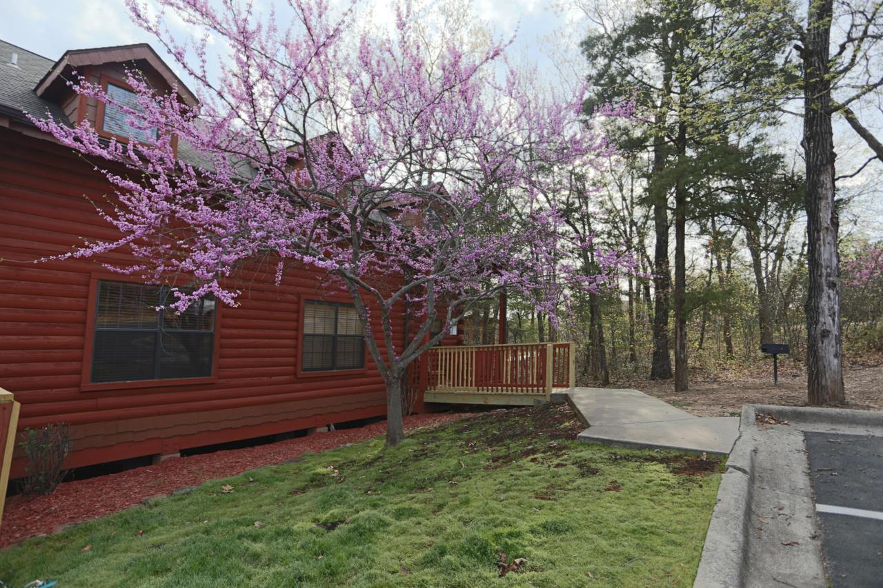 246 Oak Ridge Road - Photo 1