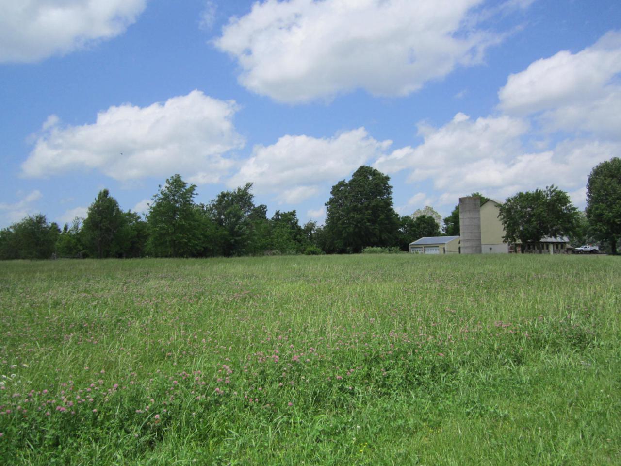 0 Highway 60 - Photo 1