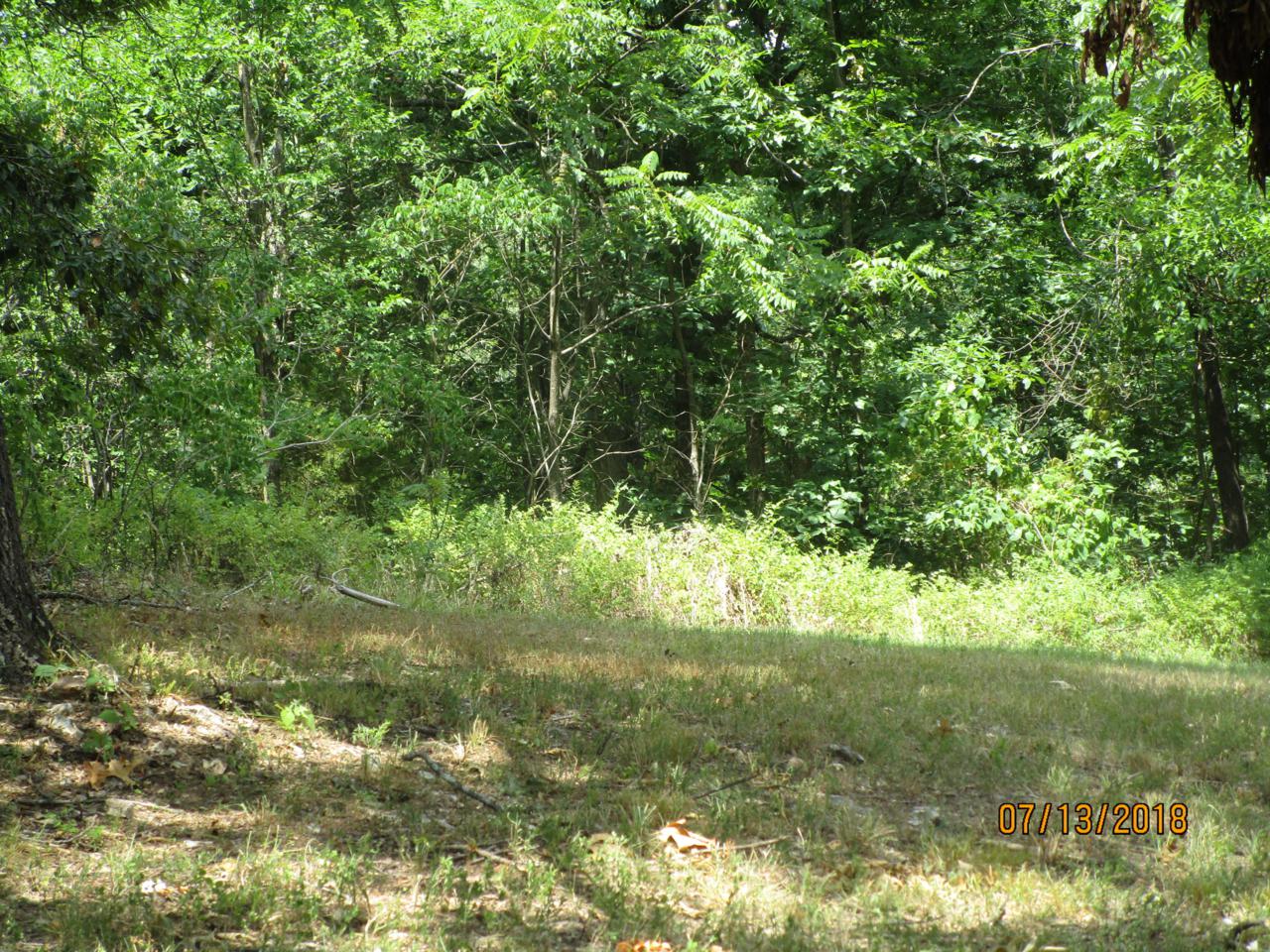 Tbd State Highway - Photo 1