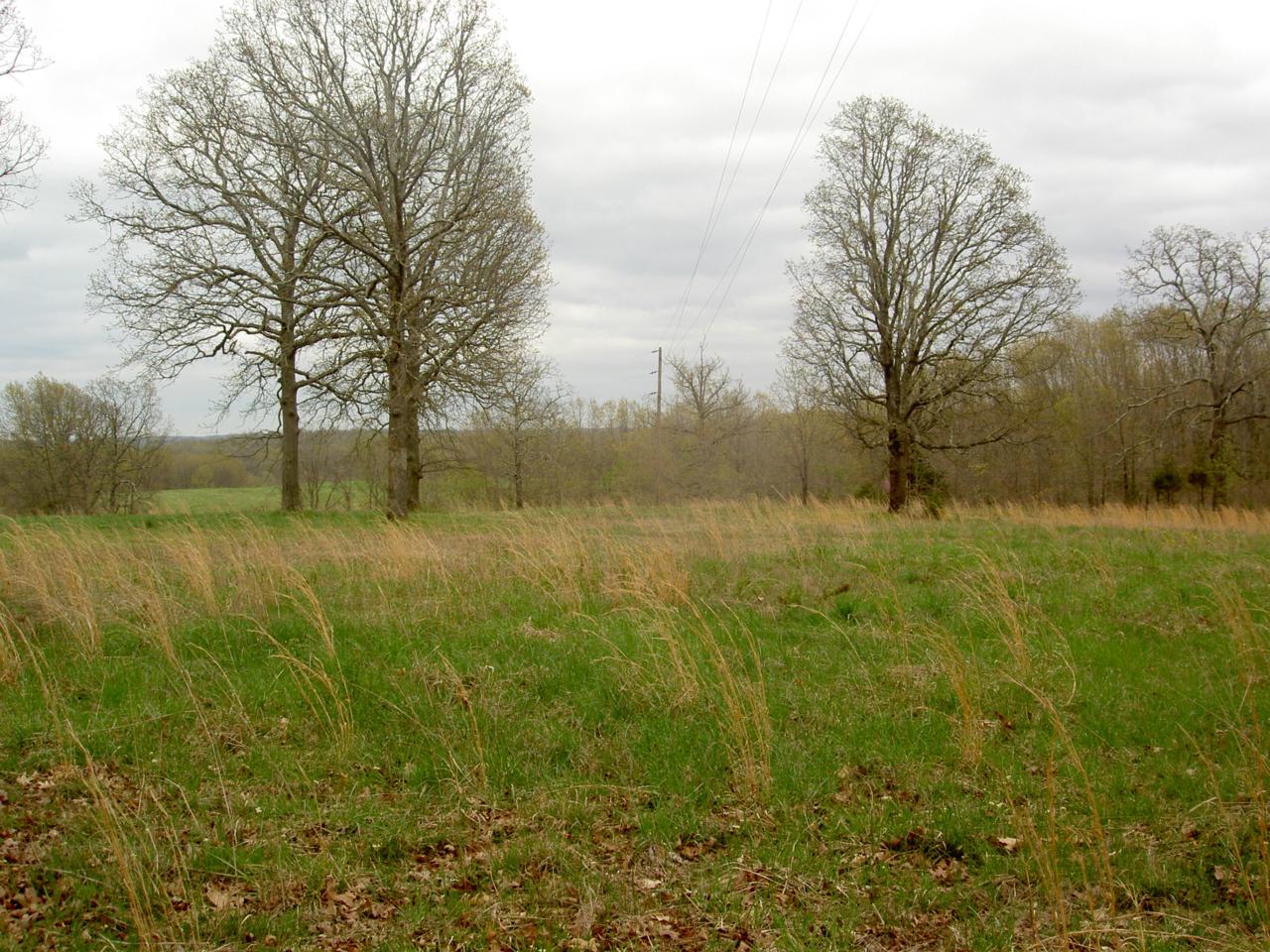 18370 Highway 32 - Photo 1