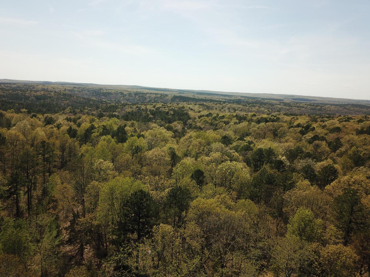 Tbd Paddy Creek Road - Photo 1