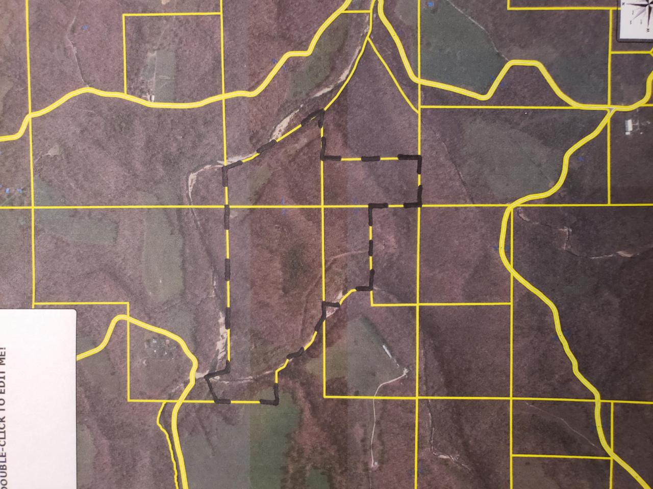 Tbd Pine Road - Photo 1