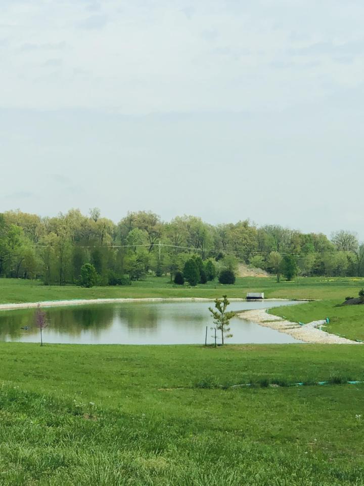 Lot 122 Village Of Ashford - Photo 1