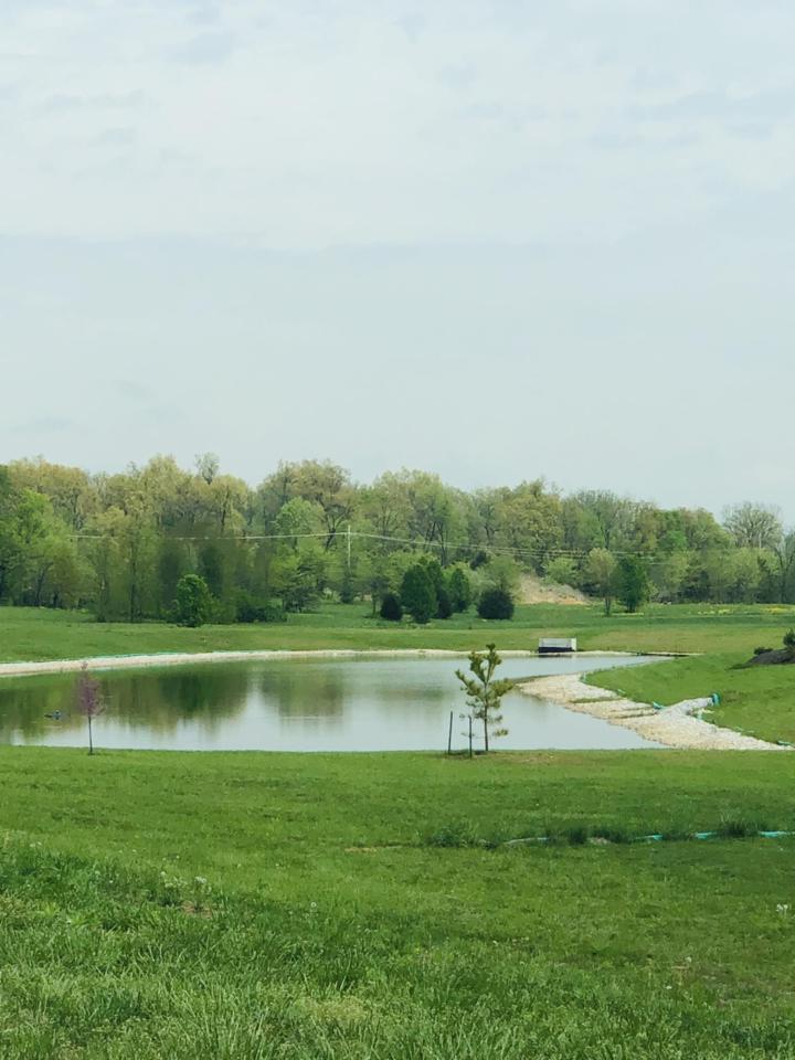 Lot 123 Village Of Ashford - Photo 1