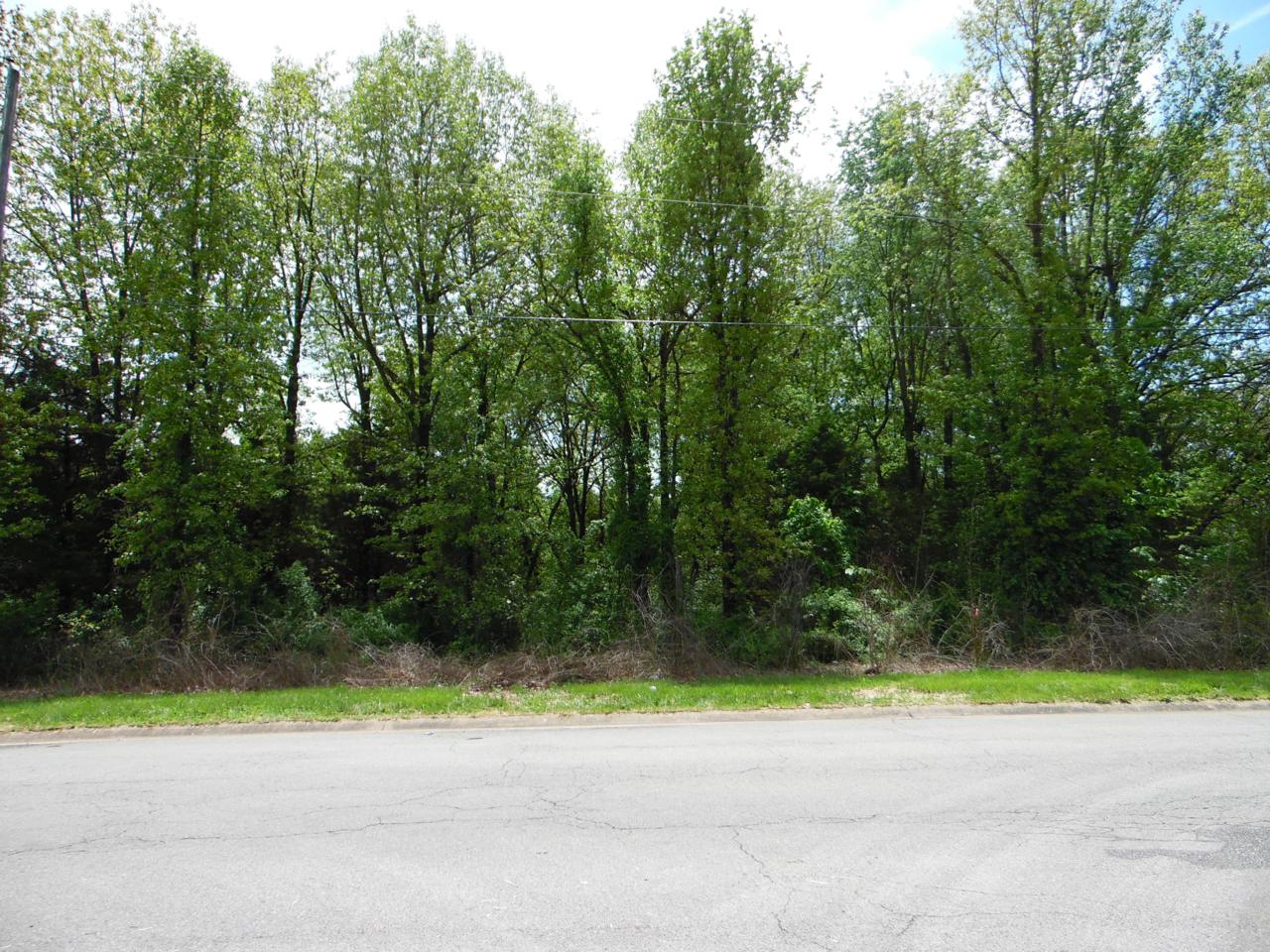 Tbd Hadley Street - Photo 1 Tbd Hadley Street - Photo 1