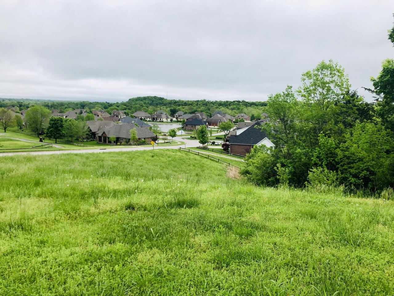3304 Bluffview Street - Photo 1