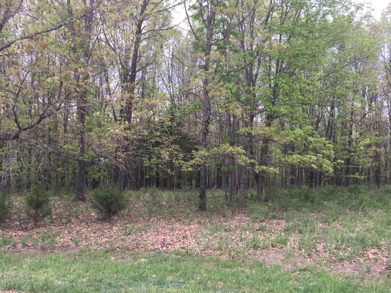 N/A Anchor Hill Road - Photo 1