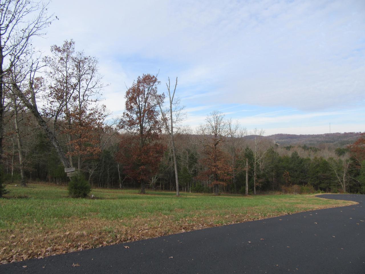Tbd-Lot 42 & 43 Black Bear Court - Photo 1