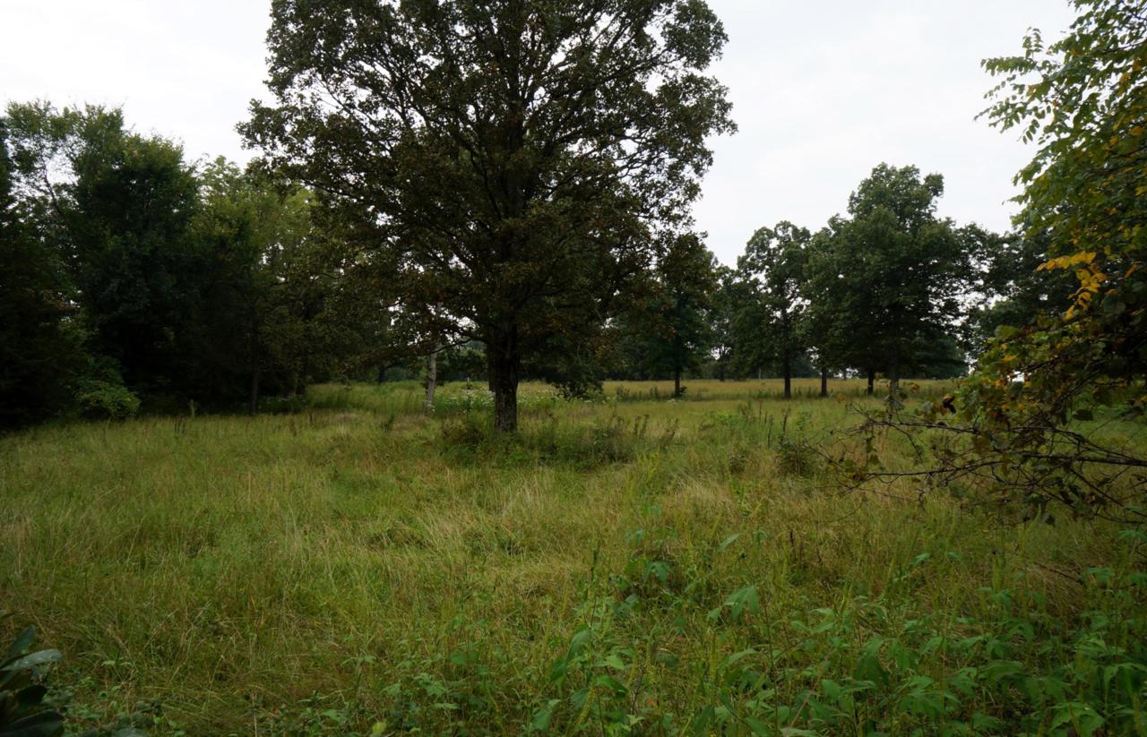 2554 County Road 6560 - Photo 1