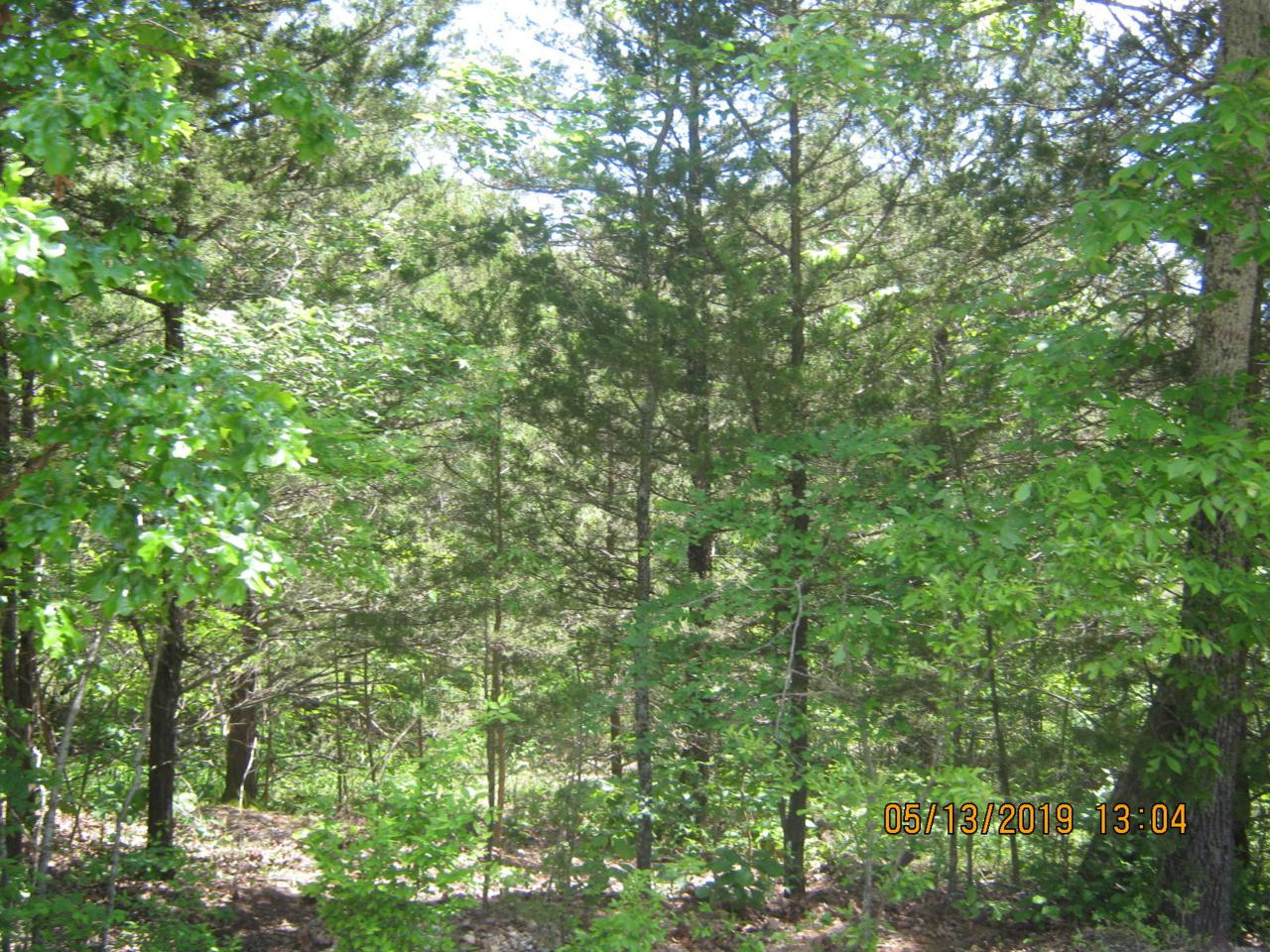 Lot 13 Tribute Falls - Photo 1 Lot 13 Tribute Falls - Photo 1