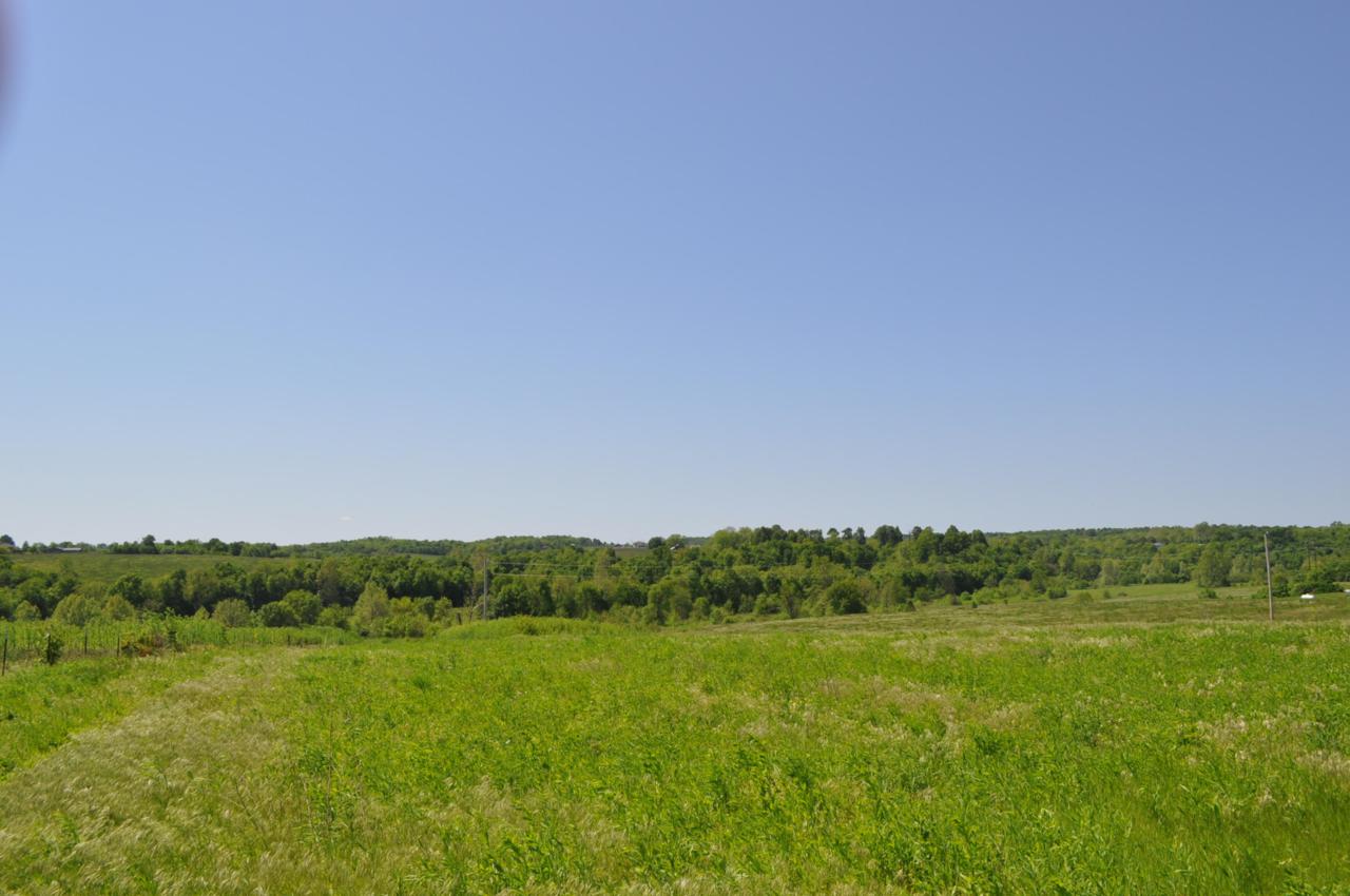 Tbd Terrell Valley Drive Tract-2 - Photo 1