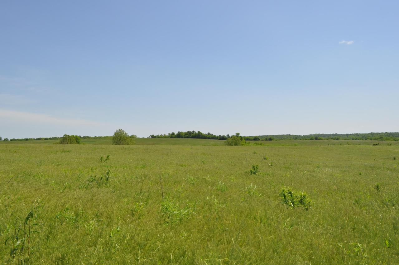 Tbd Terrell Valley Drive Tract 1 - Photo 1