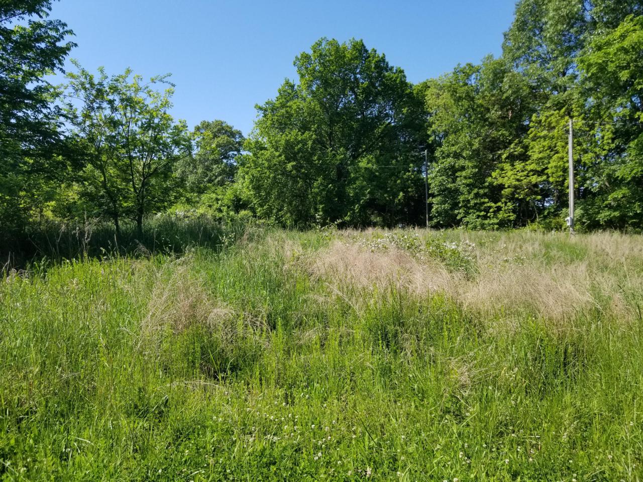 Tbd Central Avenue - Photo 1