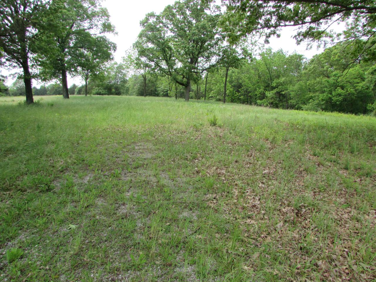 515 Oak Hill Drive Road - Photo 1