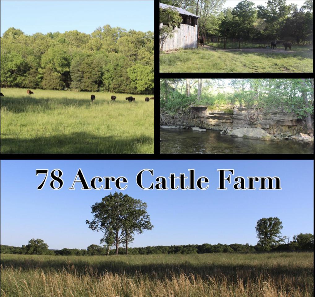 4488 State Hwy 76 - Photo 1