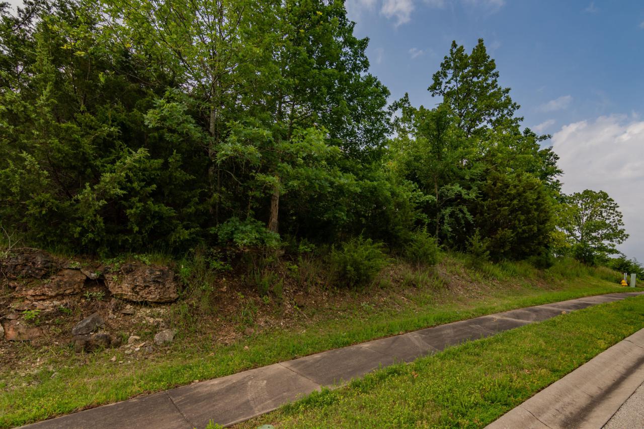 191 Forest Oak Drive - Photo 1