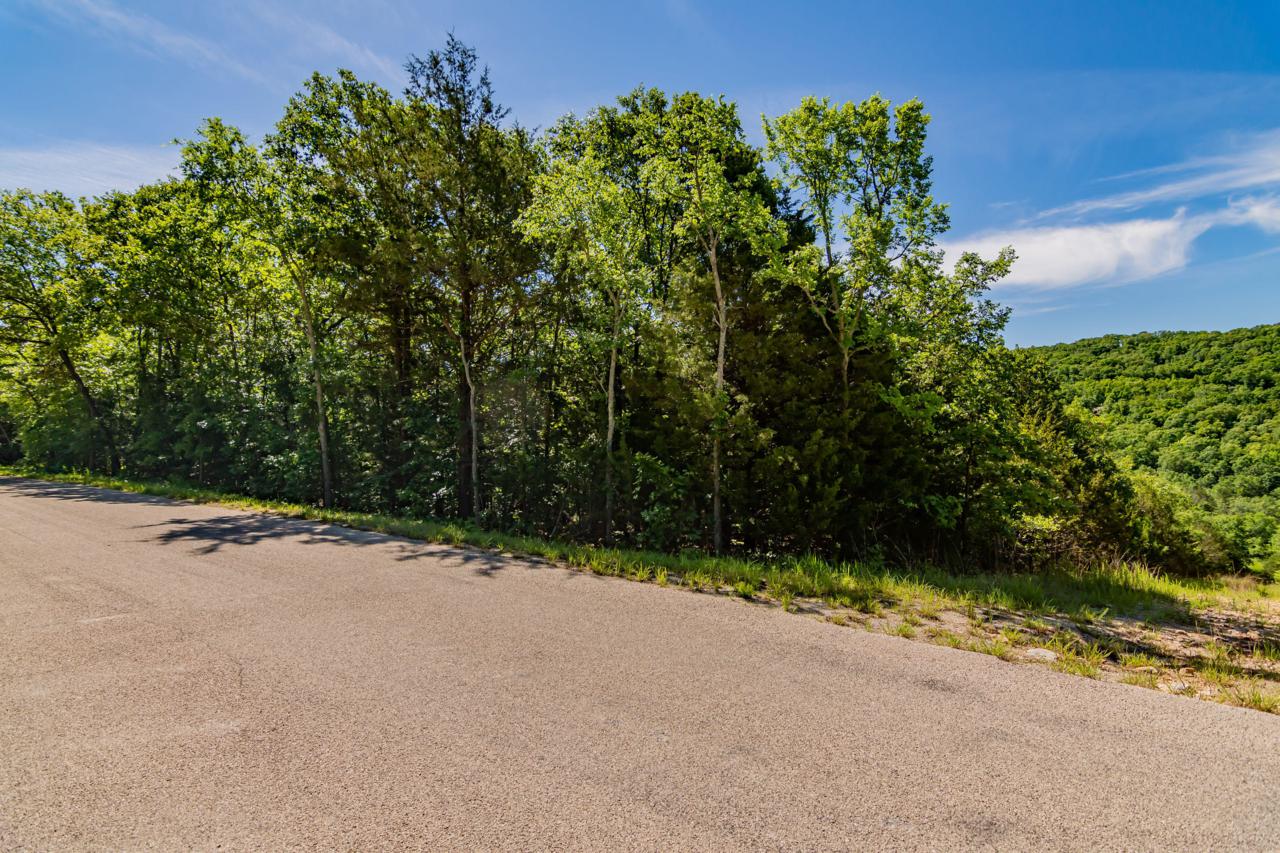 Tbd Lakeshore Drive - Photo 1 Tbd Lakeshore Drive - Photo 1