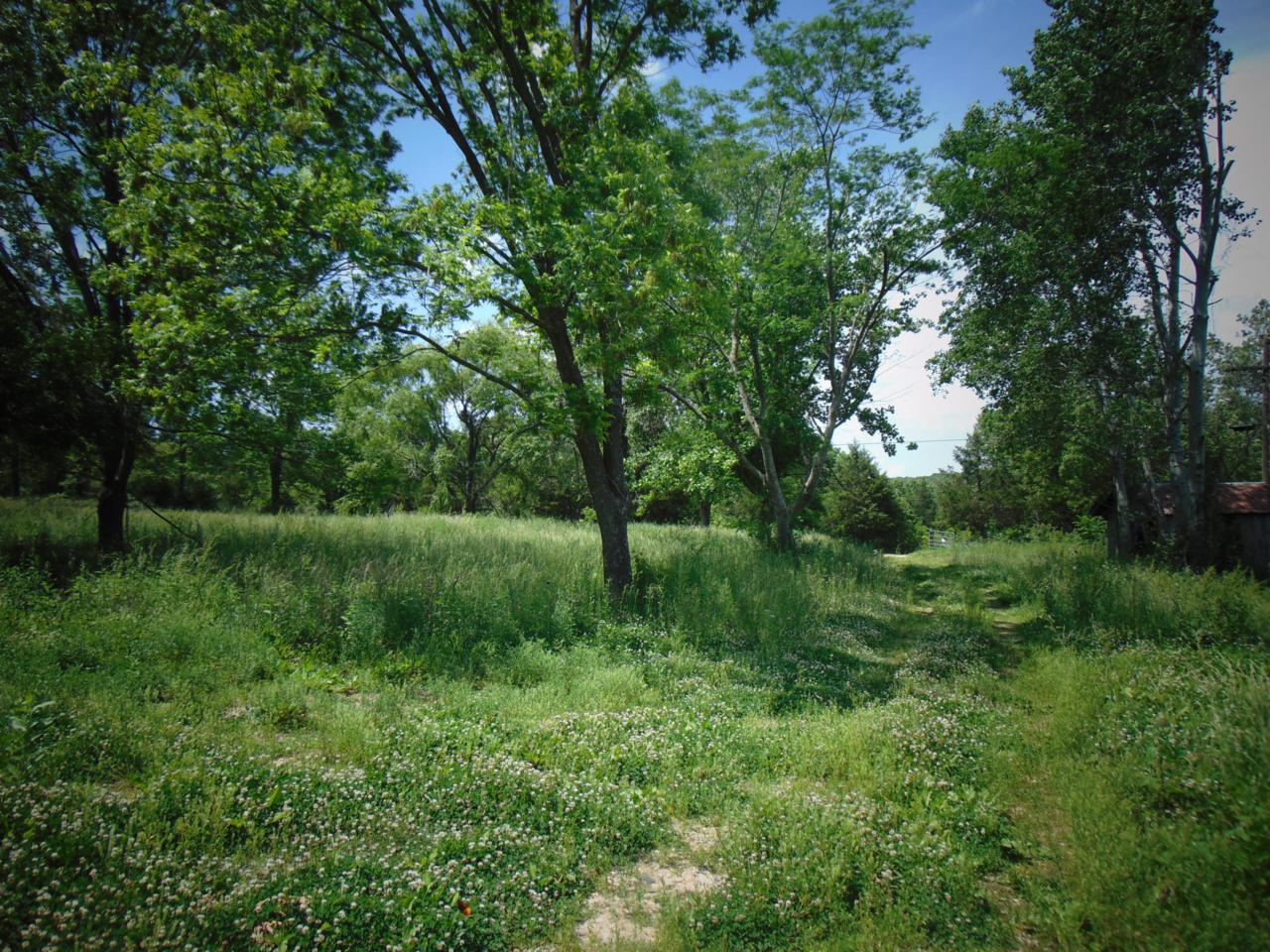 12576 Murr Road - Photo 1