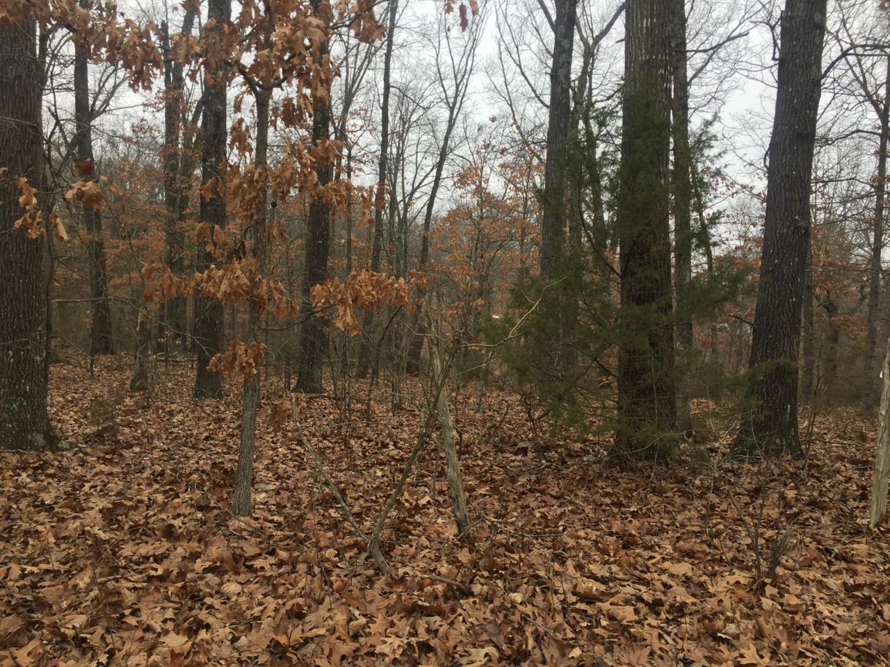 28981 Farm Rd 1247 - Photo 1