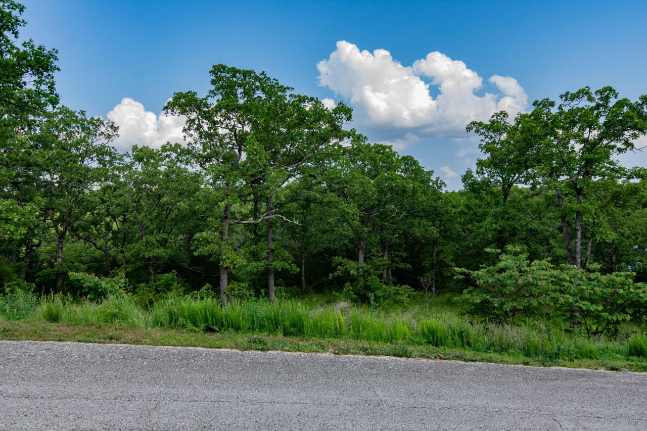 Lot 314 Weatherstone Drive - Photo 1