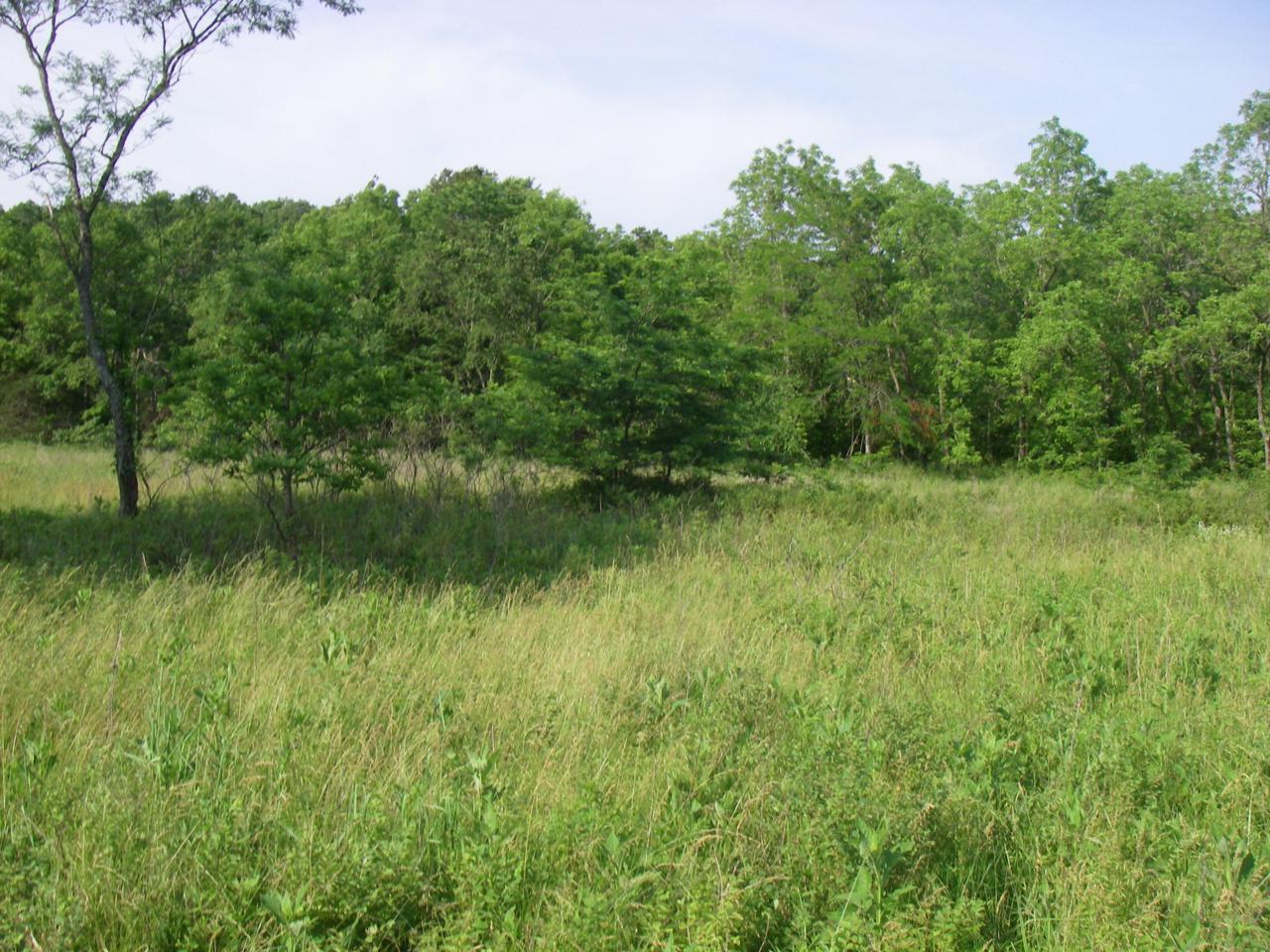 0 374 Pvt. Rd. - Photo 1 0 374 Pvt. Rd. - Photo 1