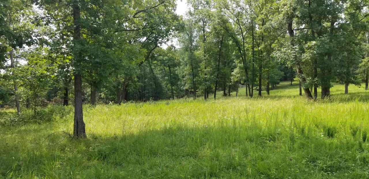 Tbd Long View Pt. - Photo 1