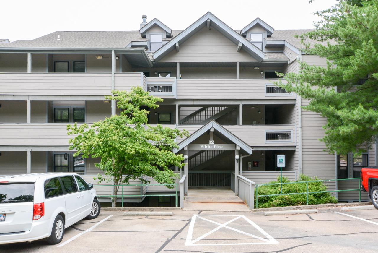 12 Treehouse Lane - Photo 1