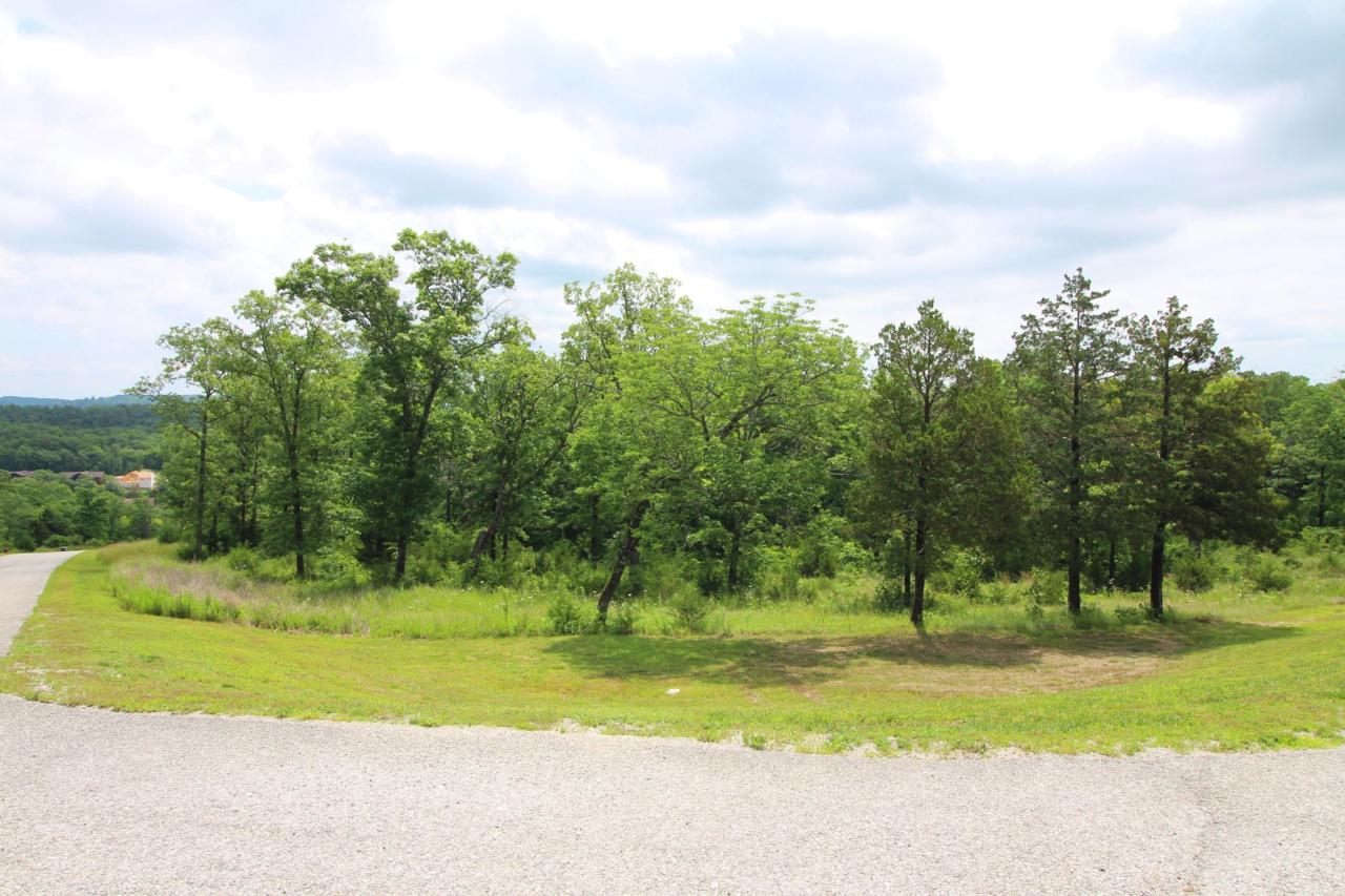 Lot 199 Forest Lake Drive - Photo 1