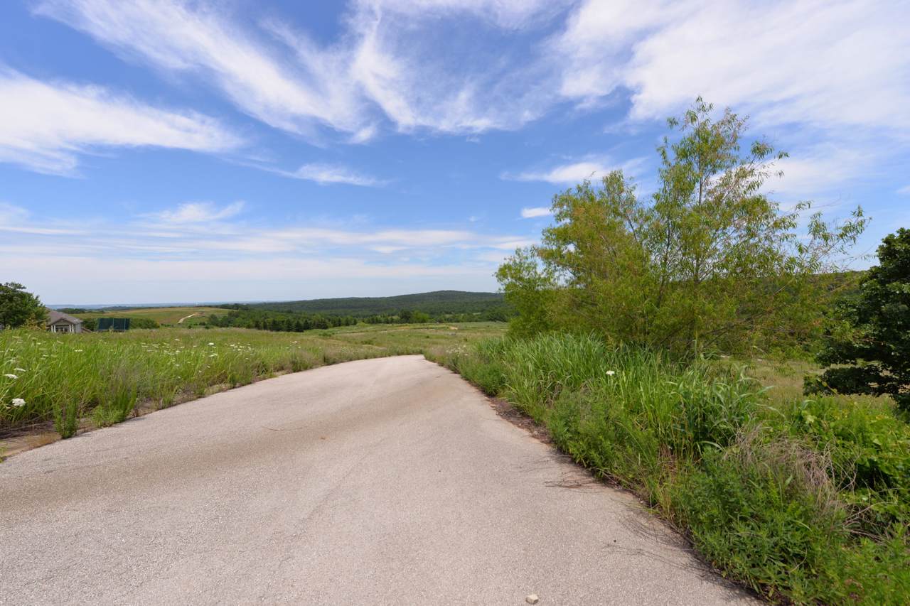 Tbd(Lot31) Pinnacle Circle - Photo 1