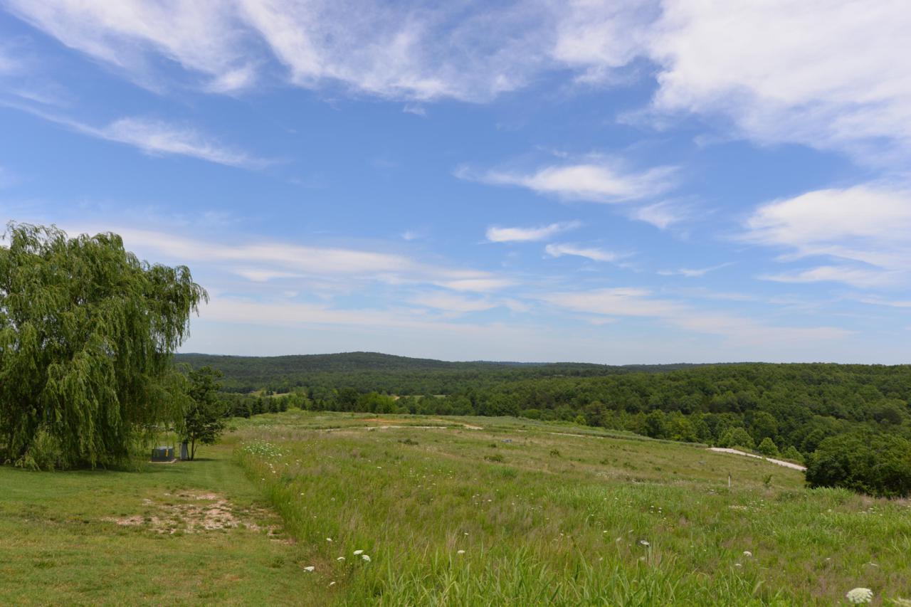 Tbd(Lot32) Pinnacle Circle - Photo 1