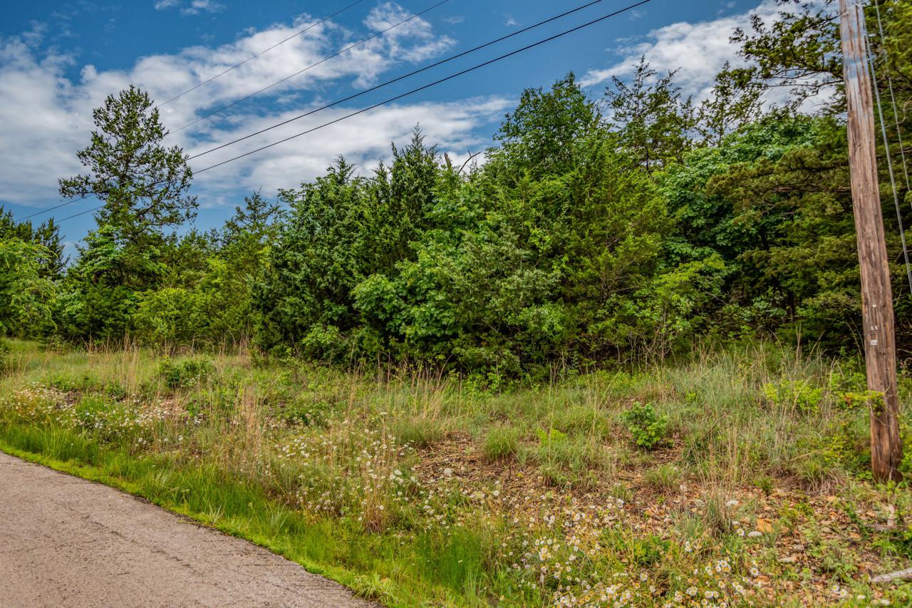 Lot 13 Wilderness Trail - Photo 1
