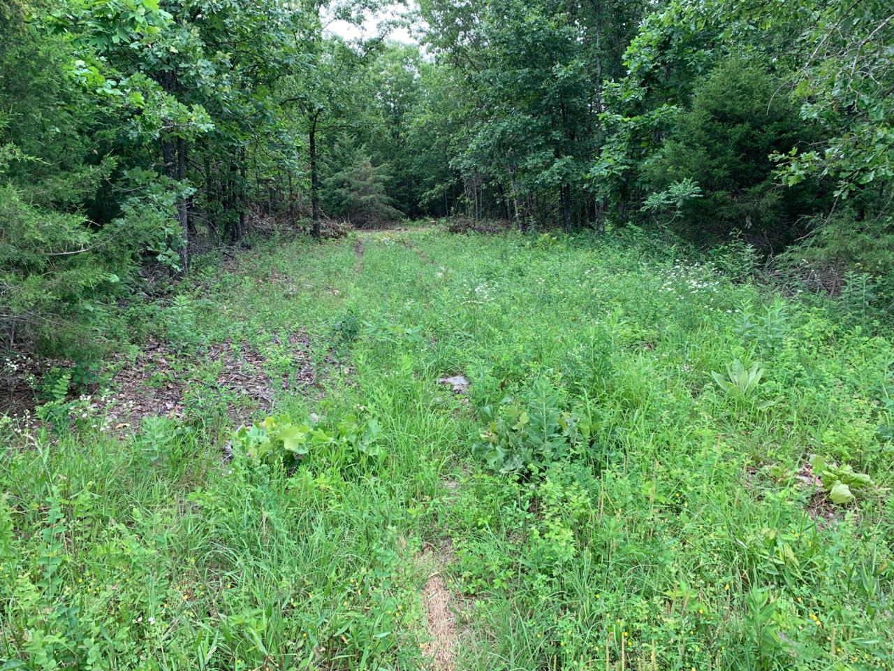 Tbd State Route M - Photo 1