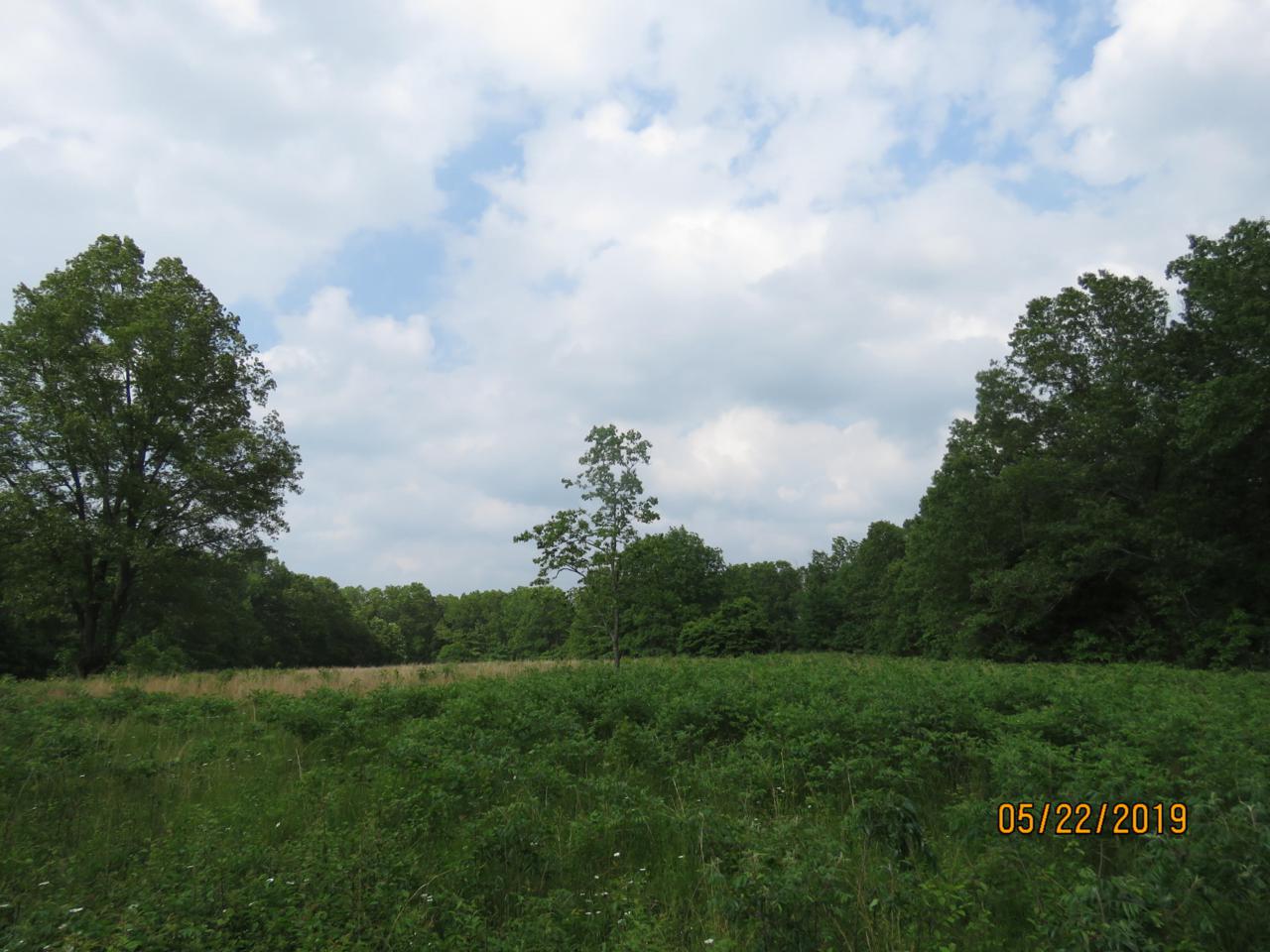 County Road Aj-431 - Photo 1