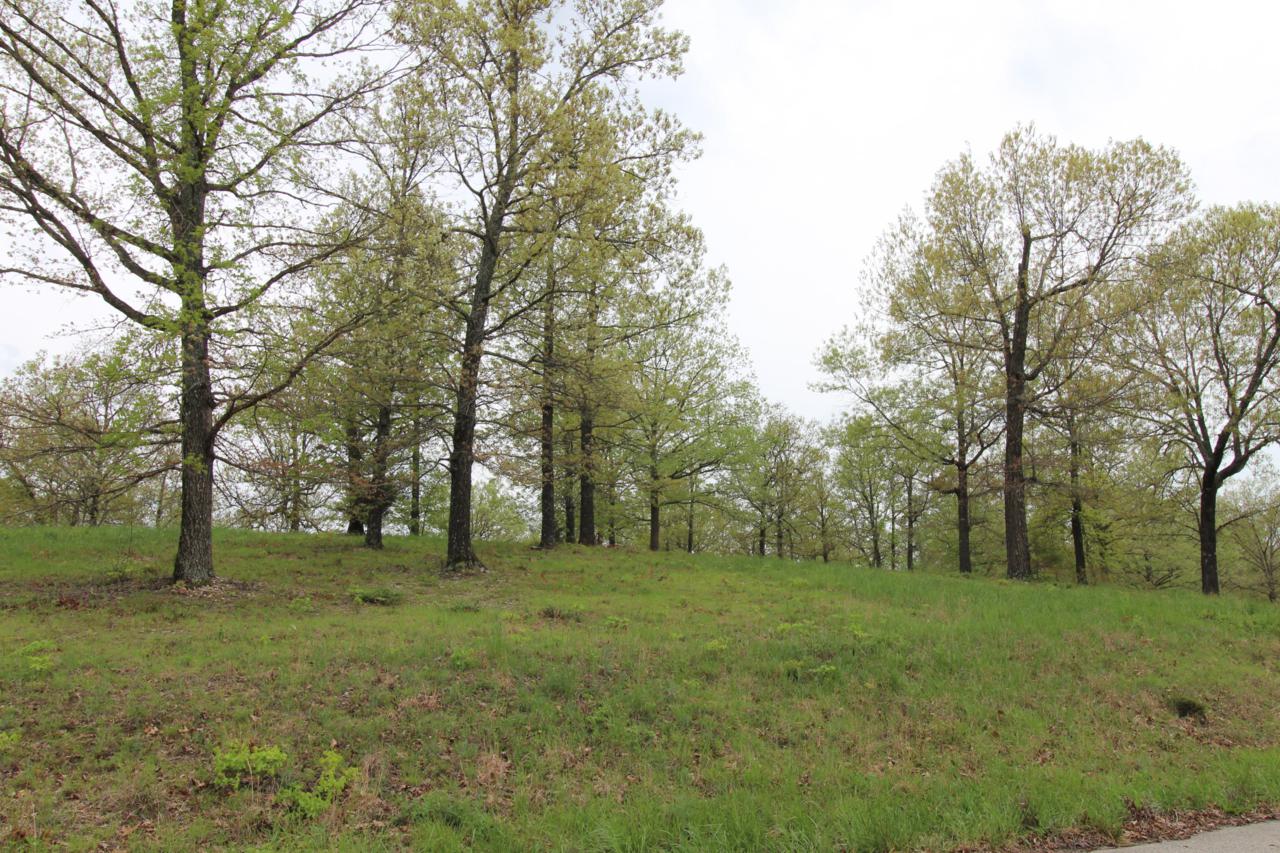 Tbd Quail Run Road - Photo 1