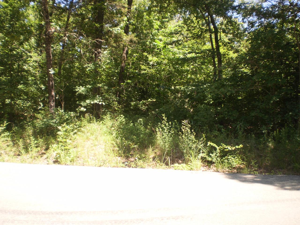 Tbd Missouri Bend - Photo 1