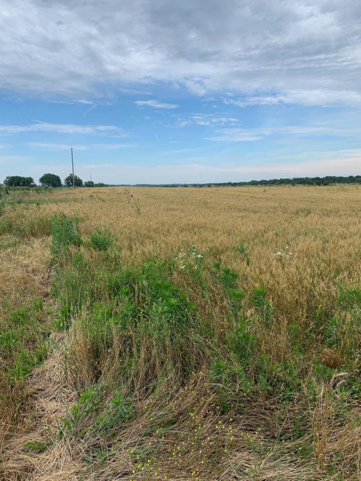 Tbd Farm Road 1057 - Photo 1