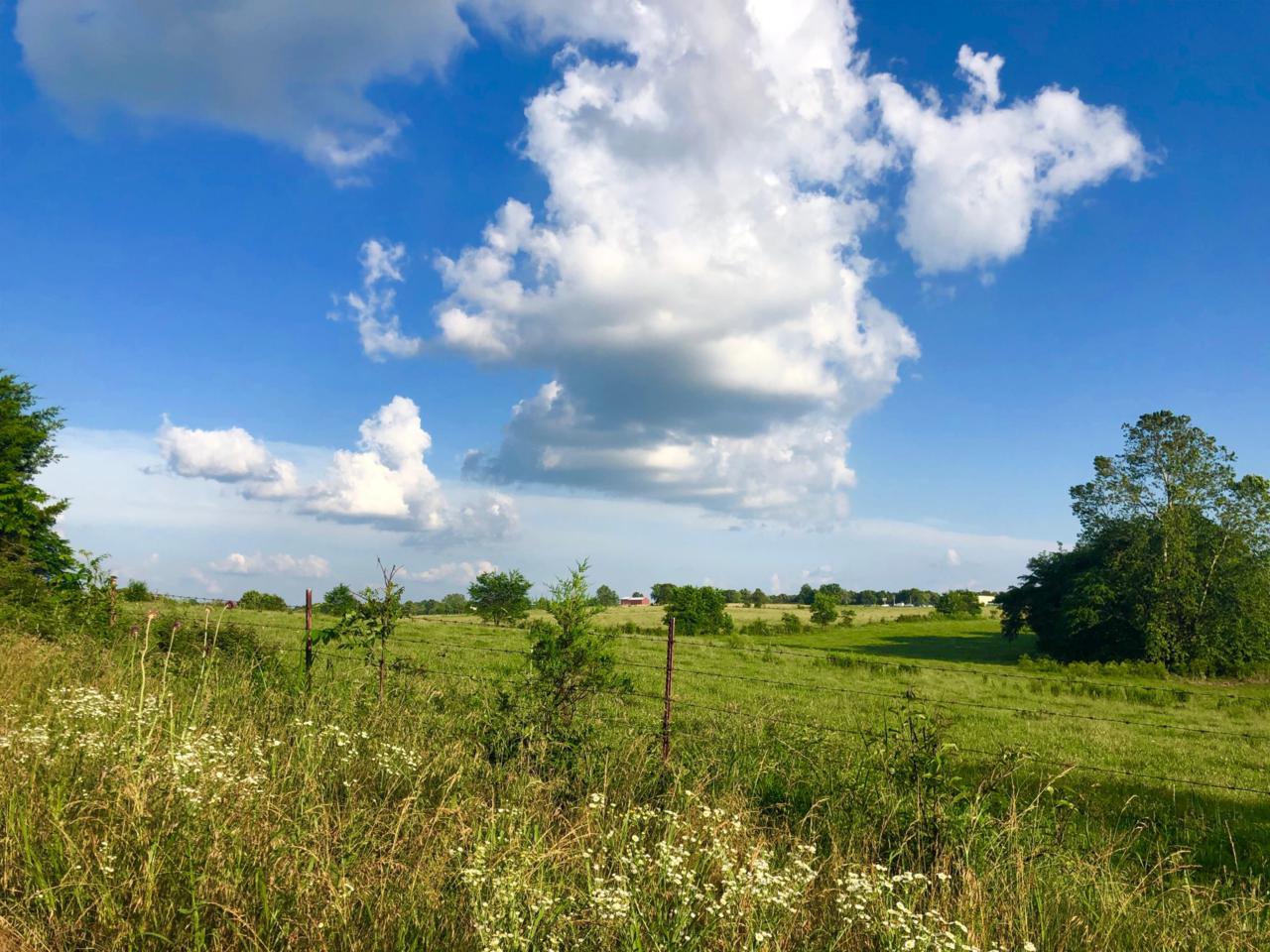 Tbd Farm Road 115 - Photo 1