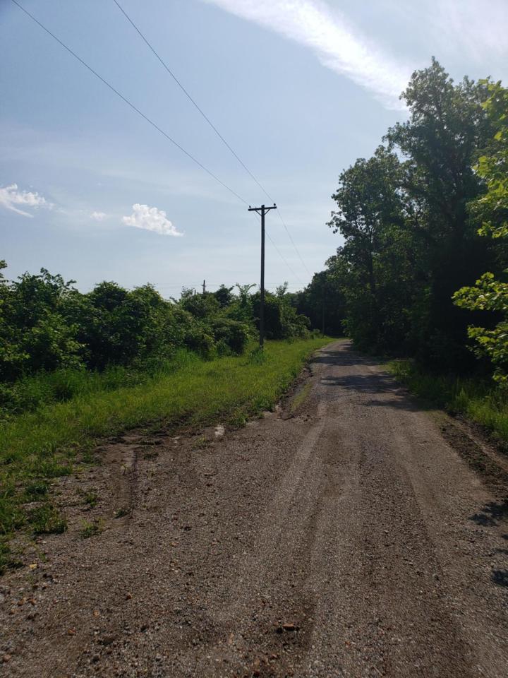 5500 Bucktail Lane - Photo 1