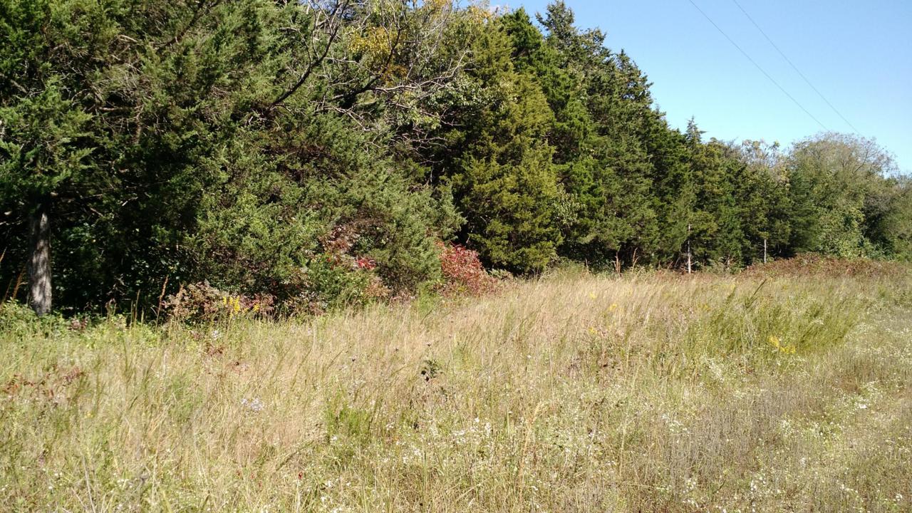 00 83 Highway - Photo 1