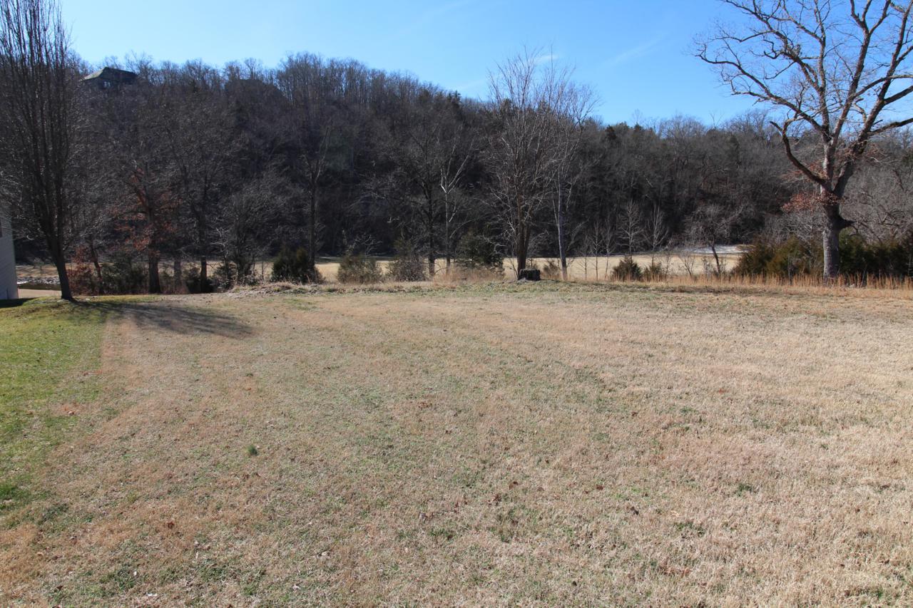 Tbd Ashwood Lane - Photo 1