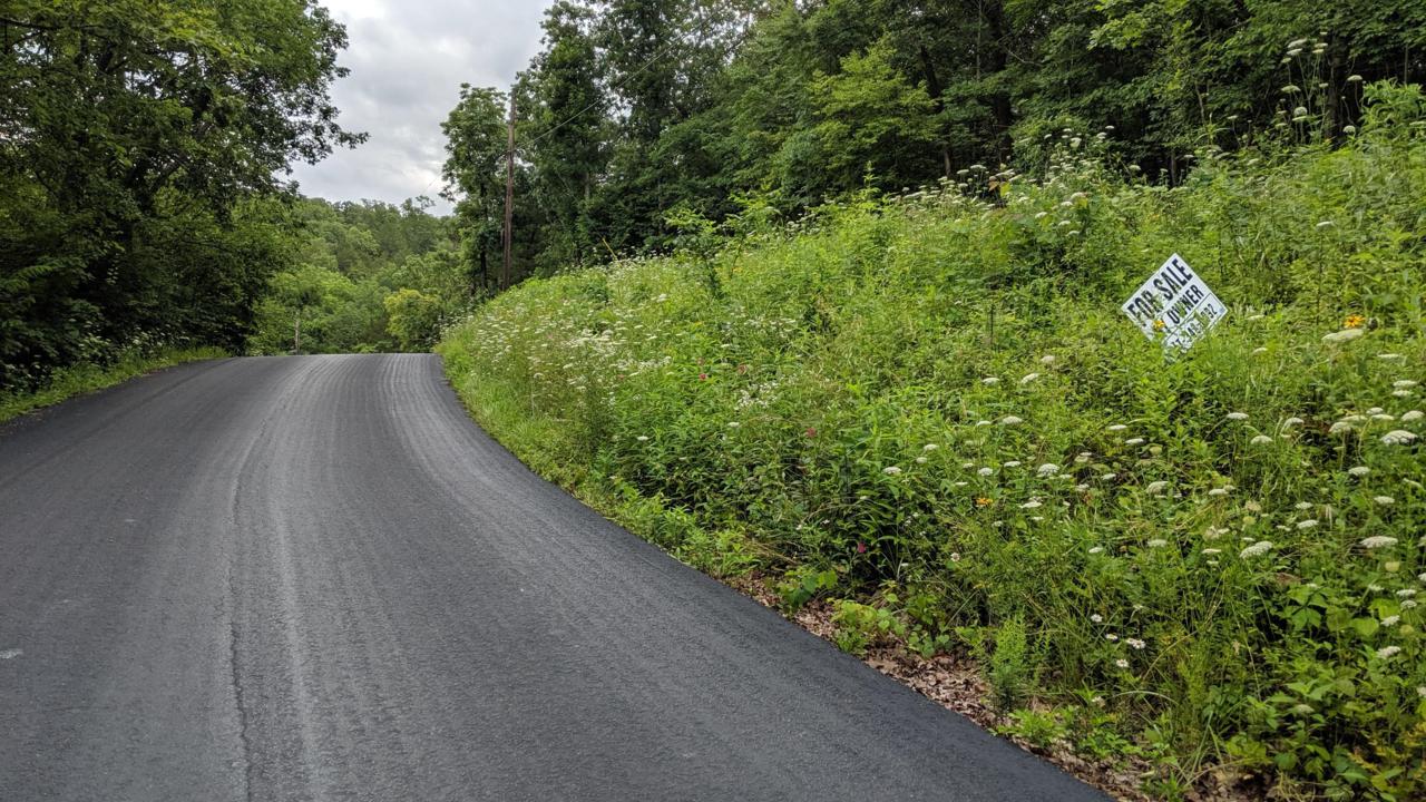 Tbd Farm Road 2208 - Photo 1