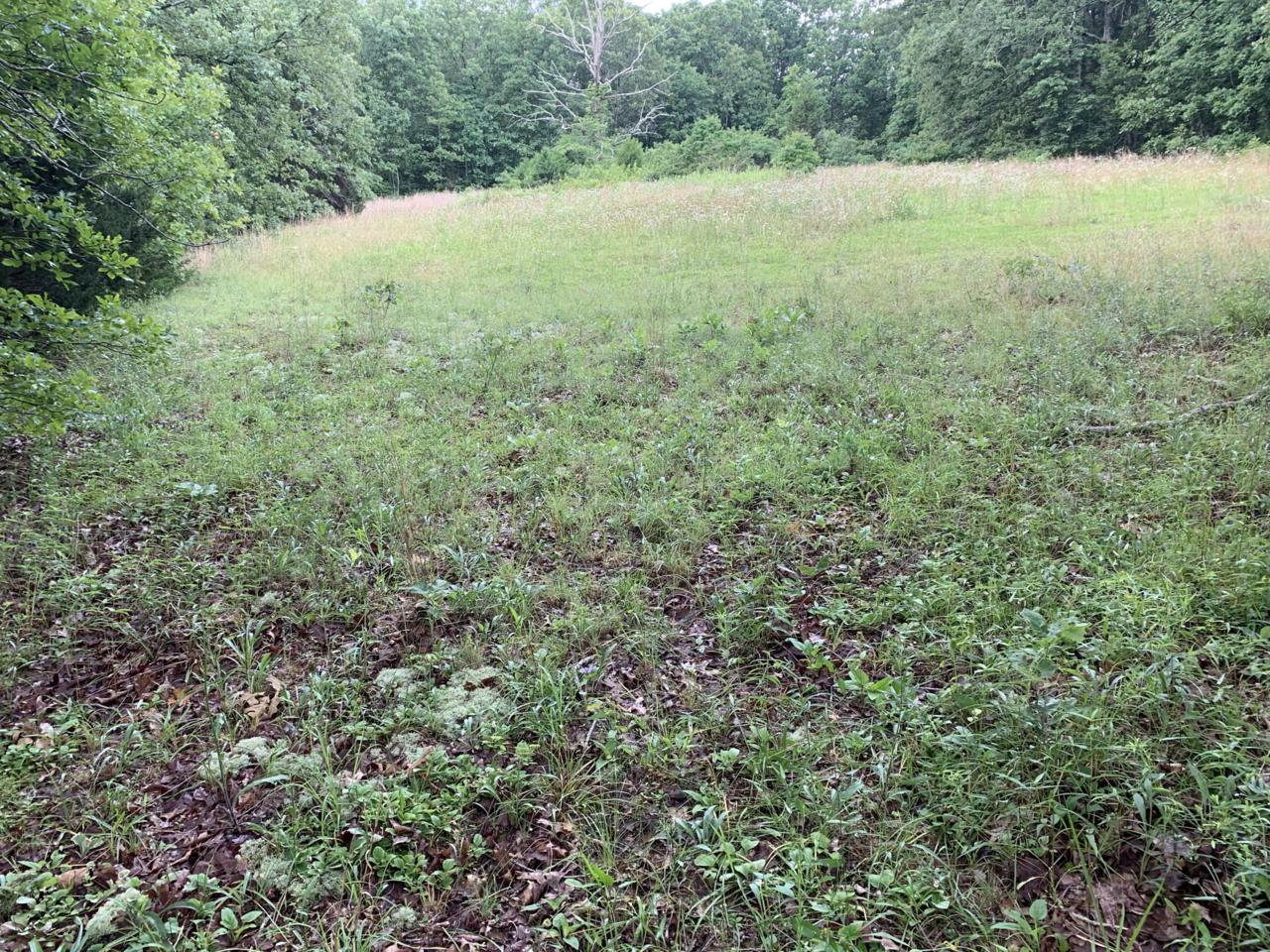 Tbd Bailey Road - Photo 1