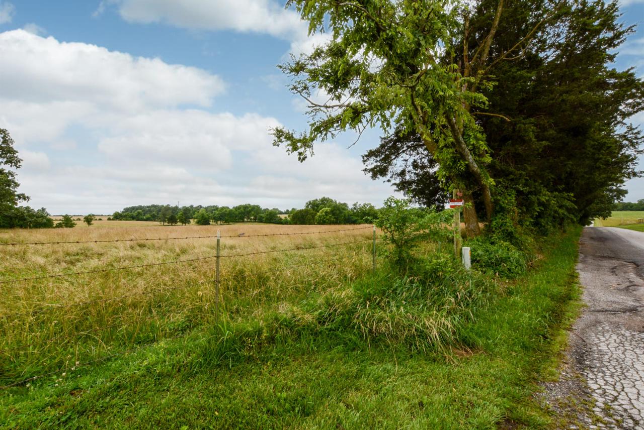 00 Tract 1 Greene Road - Photo 1