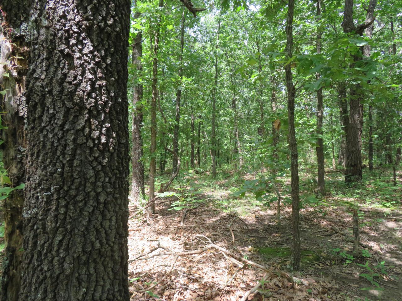 0 50th Rd - Photo 1