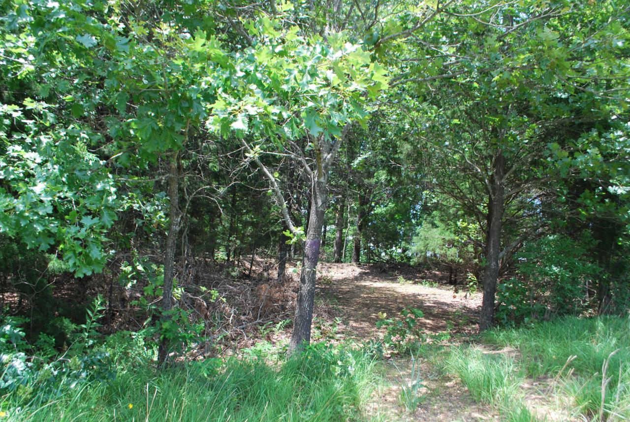 4495 Highway 63 - Photo 1