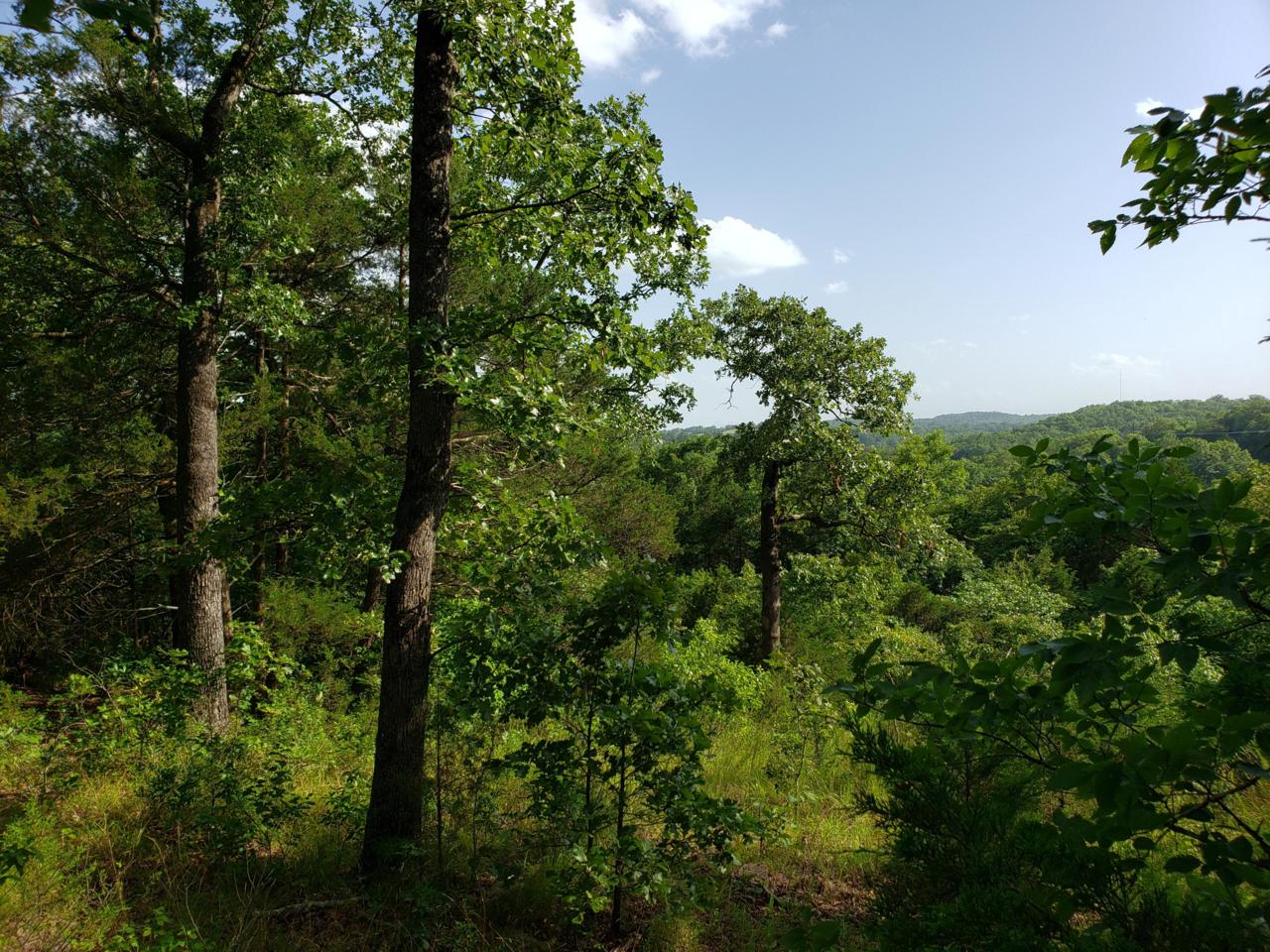 Tbd Greers Ferry - Photo 1